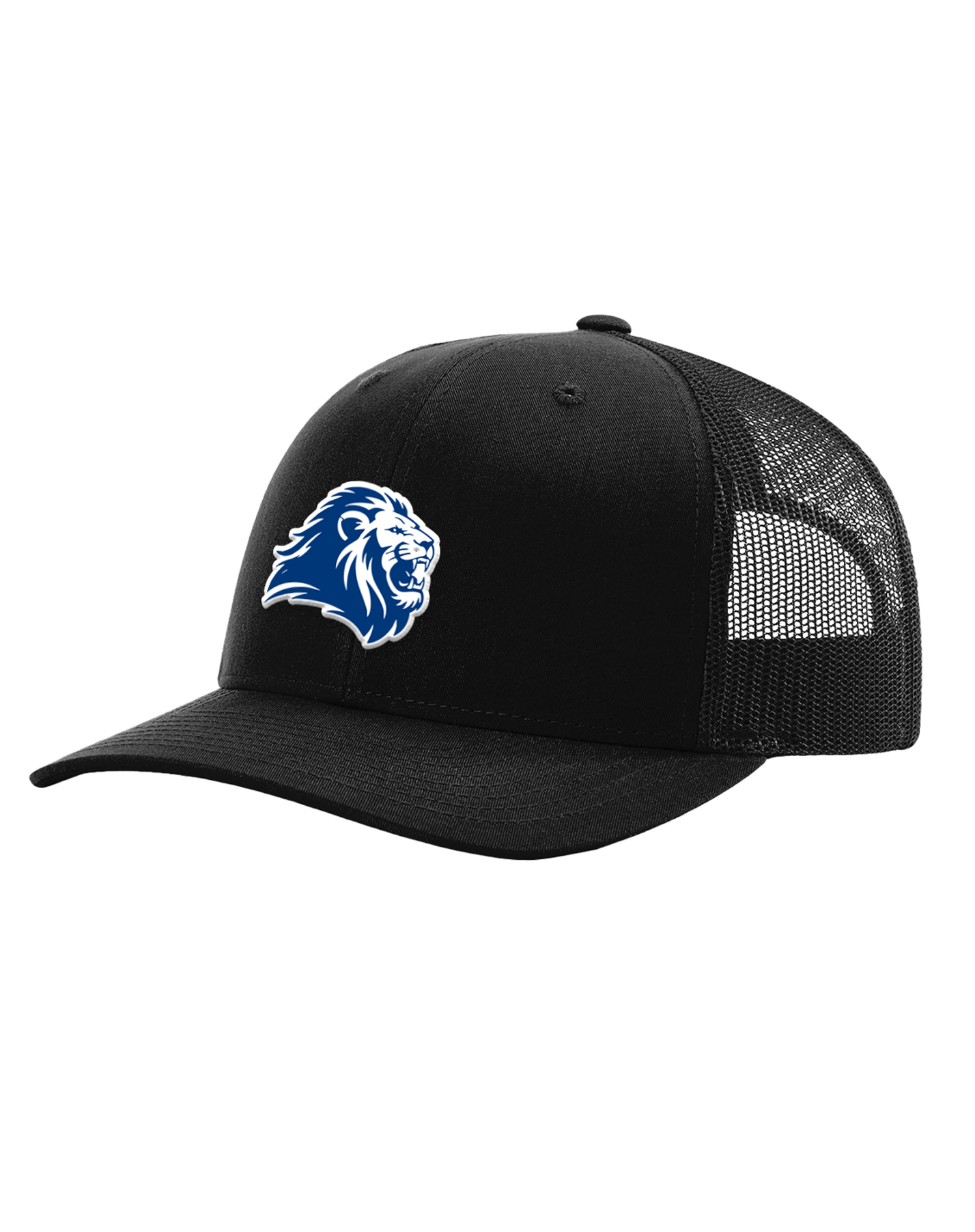 Lion head hat