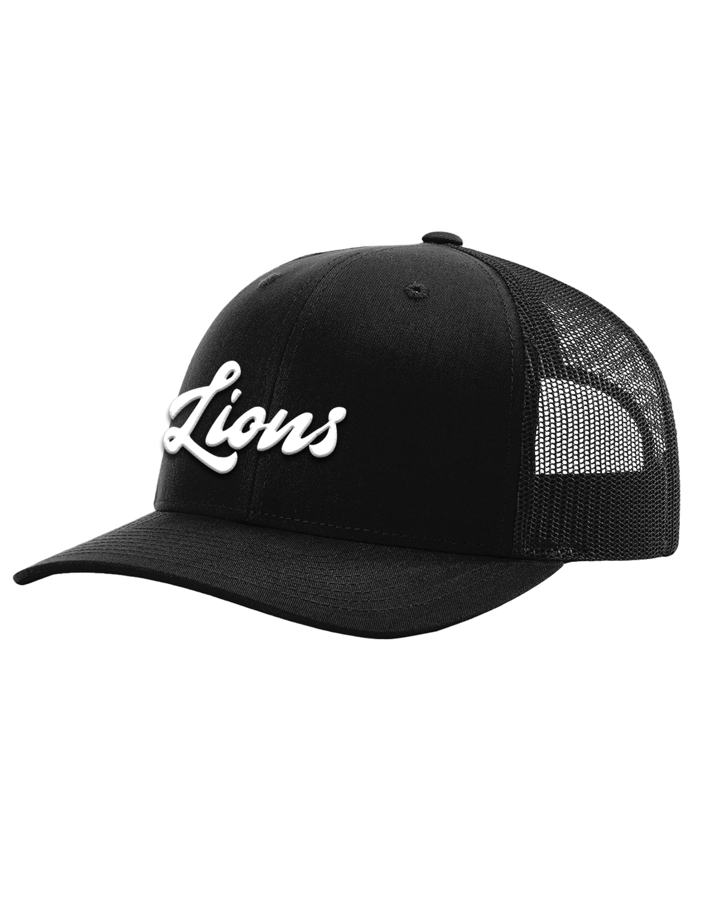 Lions hat